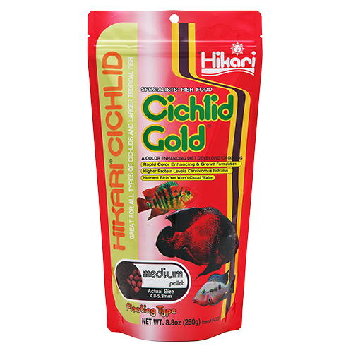 Hikari Cichlid Gold Medium Pellet 250gm