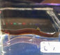 Black Kuhli Loach (Pangio oblonga)