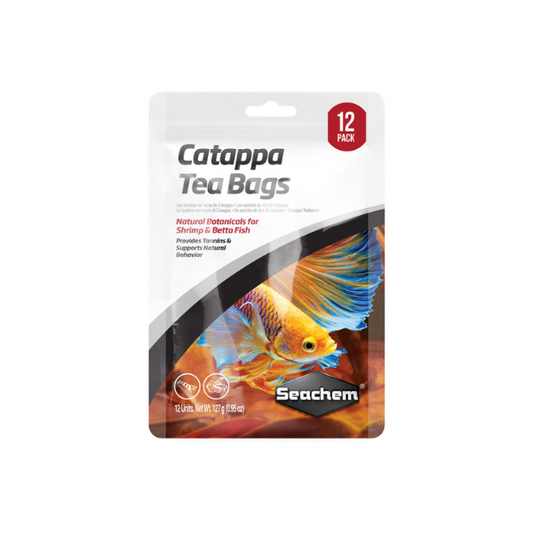 Catappa Tea Bags